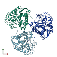 PDB entry 2rla coloured by chain, front view.