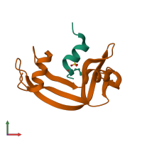 PDB entry 2rln coloured by chain, front view.