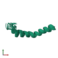PDB entry 2rlw coloured by chain, ensemble of 20 models, front view.