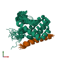 PDB entry 2roc coloured by chain, ensemble of 20 models, front view.