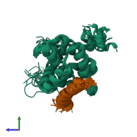 PDB entry 2roc coloured by chain, ensemble of 20 models, side view.