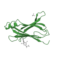 The deposited structure of PDB entry 2rox contains 2 copies of SCOP domain 49473 (Transthyretin (synonym: prealbumin)) in Transthyretin. Showing 1 copy in chain A.