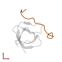 Actin-regulating kinase 1 in PDB entry 2rpn, assembly 1, front view.