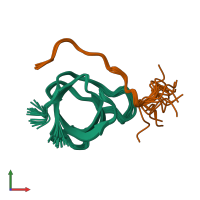 PDB entry 2rqu coloured by chain, ensemble of 20 models, front view.