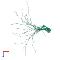 PDB entry 2rsm coloured by chain, ensemble of 20 models, top view.