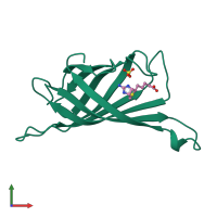 3D model of 2rtl from PDBe