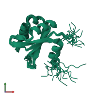 PDB entry 2rvj coloured by chain, ensemble of 15 models, front view.