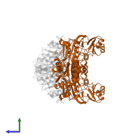 Succinate--CoA ligase [ADP-forming] subunit beta in PDB entry 2scu, assembly 1, side view.