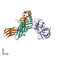 PDB entry 2seb coloured by chain, front view.