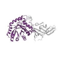 The deposited structure of PDB entry 2sfp contains 2 copies of Pfam domain PF01168 (Alanine racemase, N-terminal domain) in Alanine racemase. Showing 1 copy in chain A.