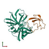 PDB entry 2sgd coloured by chain, front view.
