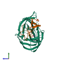 PDB entry 2sgd coloured by chain, side view.