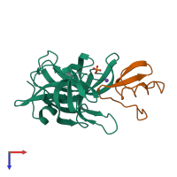 PDB entry 2sgd coloured by chain, top view.