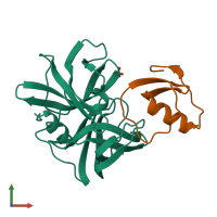 PDB entry 2sgp coloured by chain, front view.