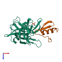 PDB entry 2sgp coloured by chain, top view.