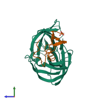 PDB entry 2sgq coloured by chain, side view.