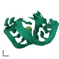 PDB entry 2tob coloured by chain, ensemble of 13 models, front view.
