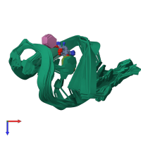 PDB entry 2tob coloured by chain, ensemble of 13 models, top view.