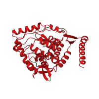 The deposited structure of PDB entry 2toh contains 1 copy of CATH domain 1.10.800.10 (Phenylalanine Hydroxylase) in Tyrosine 3-monooxygenase. Showing 1 copy in chain A.