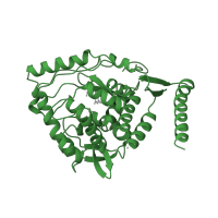 The deposited structure of PDB entry 2toh contains 1 copy of SCOP domain 56535 (Aromatic aminoacid monoxygenases, catalytic and oligomerization domains) in Tyrosine 3-monooxygenase. Showing 1 copy in chain A.