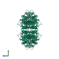 Homo tetrameric assembly 1 of PDB entry 2toh coloured by chemically distinct molecules, side view.