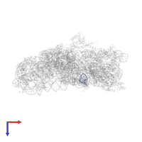 RNA in PDB entry 2uu9, assembly 1, top view.
