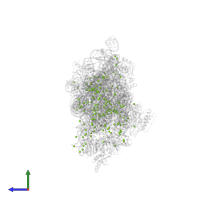 MAGNESIUM ION in PDB entry 2uu9, assembly 1, side view.