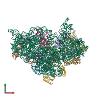 PDB entry 2uua coloured by chain, front view.