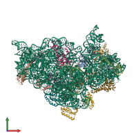 PDB entry 2uub coloured by chain, front view.