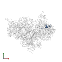 Small ribosomal subunit protein uS10 in PDB entry 2uuc, assembly 1, front view.