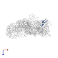 Small ribosomal subunit protein uS10 in PDB entry 2uuc, assembly 1, top view.