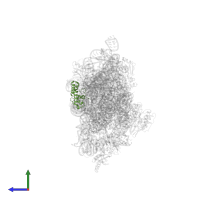 Small ribosomal subunit protein uS13 in PDB entry 2uuc, assembly 1, side view.