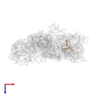 Small ribosomal subunit protein uS14 in PDB entry 2uuc, assembly 1, top view.