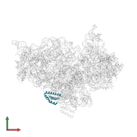 Small ribosomal subunit protein uS15 in PDB entry 2uuc, assembly 1, front view.