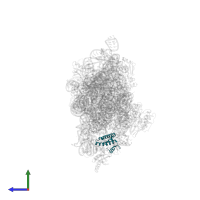 Small ribosomal subunit protein uS15 in PDB entry 2uuc, assembly 1, side view.