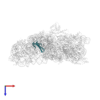 Small ribosomal subunit protein uS15 in PDB entry 2uuc, assembly 1, top view.