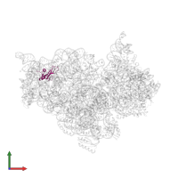 Small ribosomal subunit protein bS16 in PDB entry 2uuc, assembly 1, front view.