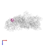 Small ribosomal subunit protein bS16 in PDB entry 2uuc, assembly 1, top view.