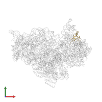 Small ribosomal subunit protein uS19 in PDB entry 2uuc, assembly 1, front view.