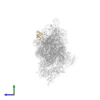 Small ribosomal subunit protein uS19 in PDB entry 2uuc, assembly 1, side view.