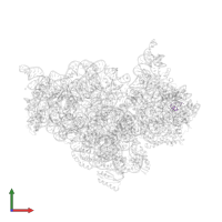 Small ribosomal subunit protein bTHX in PDB entry 2uuc, assembly 1, front view.