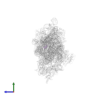 Small ribosomal subunit protein bTHX in PDB entry 2uuc, assembly 1, side view.