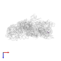 Small ribosomal subunit protein bTHX in PDB entry 2uuc, assembly 1, top view.