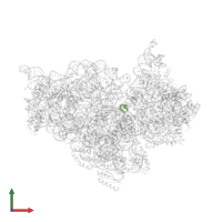 5'-R(*GP*UP*AP*AP*AP*AP)-3' in PDB entry 2uuc, assembly 1, front view.