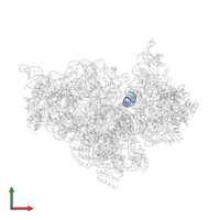 5'-R(*CP*CP*UP*CP*CP*CP*UP*CM0P*AP*CP*6MZP*AP *GP*GP*AP*GP*G)-3' in PDB entry 2uuc, assembly 1, front view.