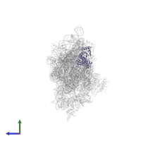 Small ribosomal subunit protein uS3 in PDB entry 2uuc, assembly 1, side view.