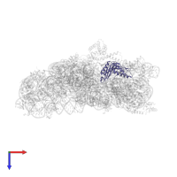 Small ribosomal subunit protein uS3 in PDB entry 2uuc, assembly 1, top view.