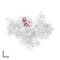 Small ribosomal subunit protein uS4 in PDB entry 2uuc, assembly 1, front view.