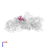 Small ribosomal subunit protein uS4 in PDB entry 2uuc, assembly 1, top view.