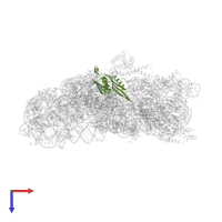Small ribosomal subunit protein uS5 in PDB entry 2uuc, assembly 1, top view.